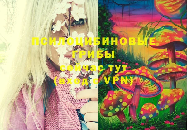 mdpv Алзамай