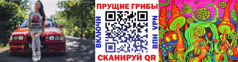 купить наркотики цена  Сортавала  Псилоцибиновые грибы прущие грибы 